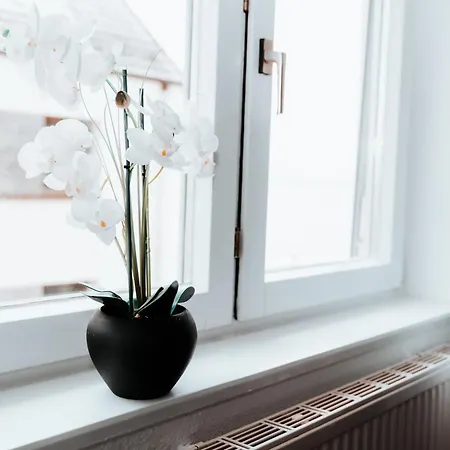 Ella - Direkt Am Bodensee *