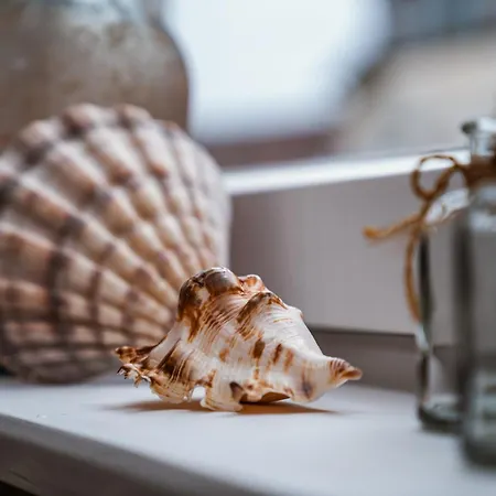 Apartamento Ella - Direkt Am Bodensee