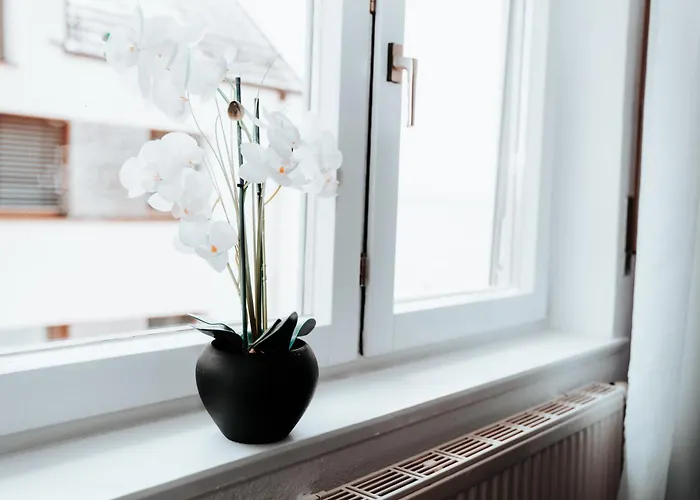 Ella - Direkt Am Bodensee *